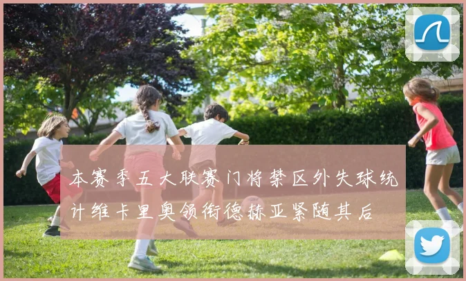 本赛季五大联赛门将禁区外失球统计维卡里奥领衔德赫亚紧随其后